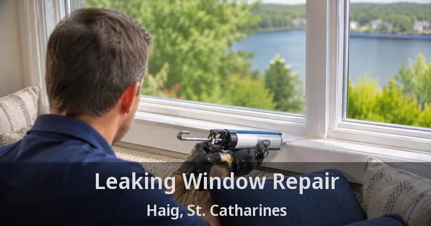 Leaking Window Repair Haig, St. Catharines - ON