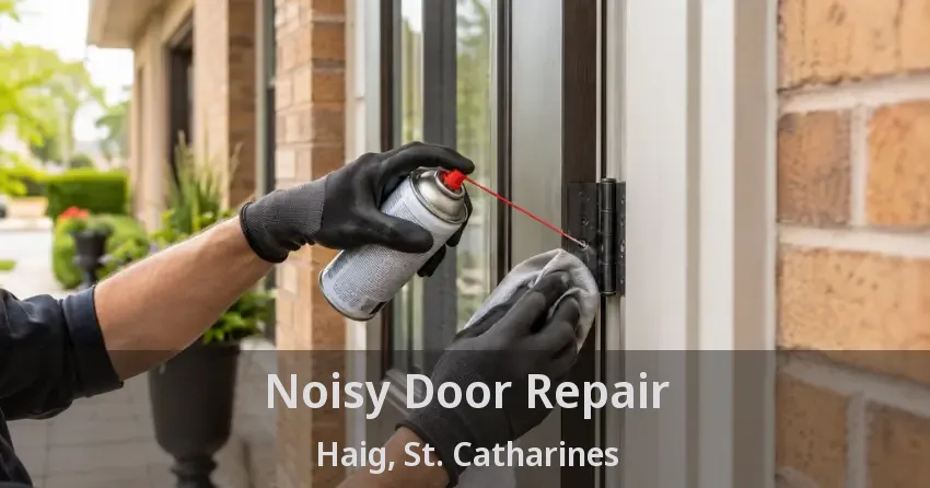 Noisy Door Repair Haig, St. Catharines - ON